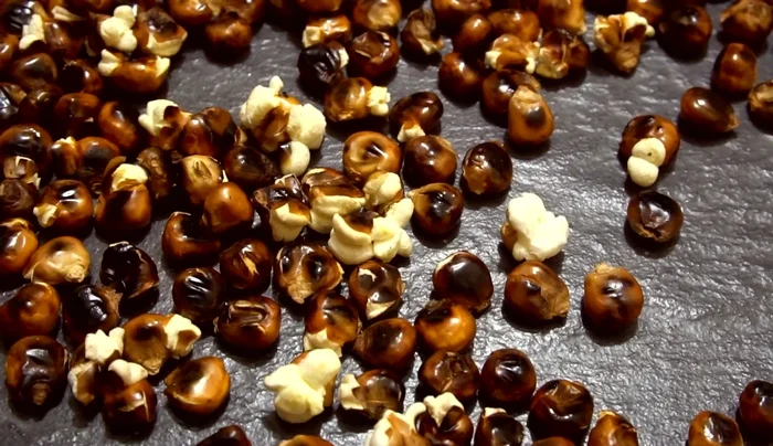 Remove any popped kernels if desired. Add a handful of roasted corn kernels to a pan.