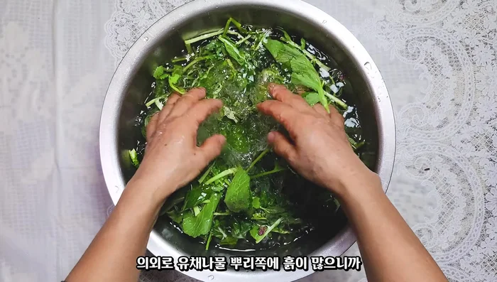 Wash the greens thoroughly in cold water two or three times until no dirt remains.