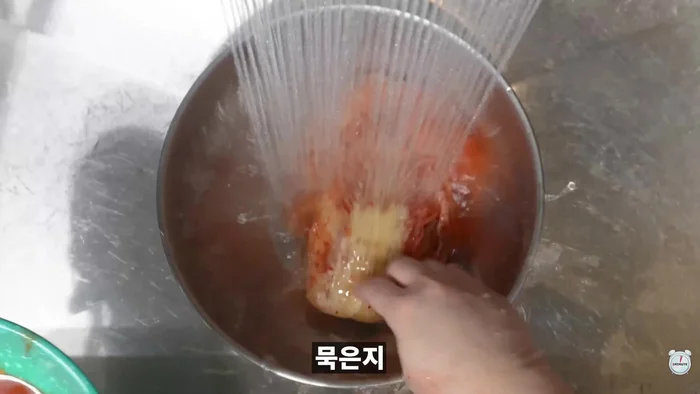 Rinse the aged kimchi in running water several times to wash off all the seasoning.