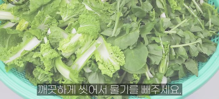 Wash the prepared radishes and cabbage thoroughly and drain.