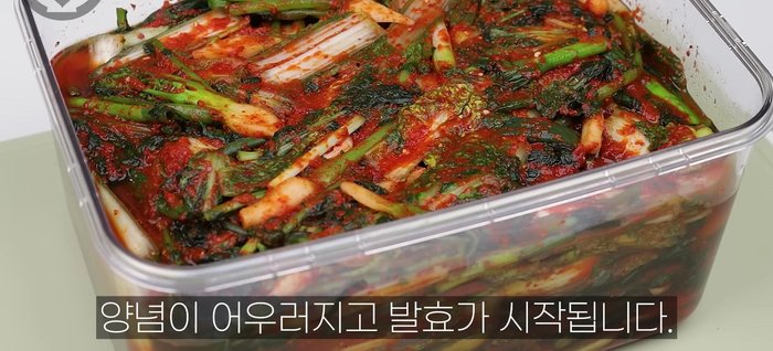 Place the kimchi in a container and ferment for approximately 24 hours at 20 degrees Celsius.