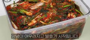 Radish Kimchi Recipe: Keep it Fresh & Flavorful