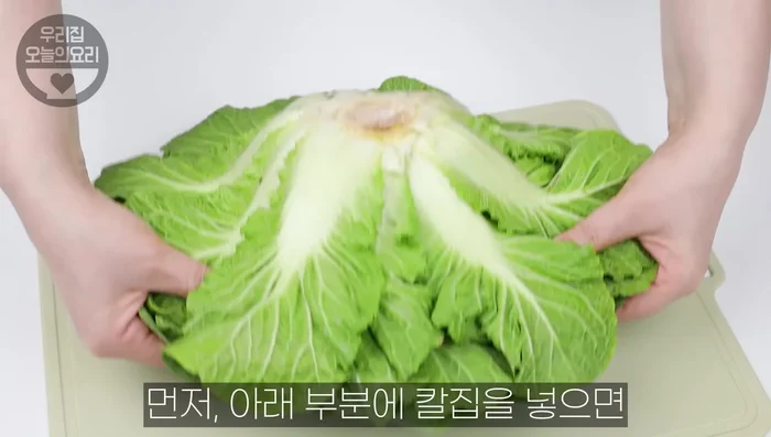 Prepare spring dung dallae kimchi: Clean and cut spring dung. Clean and prepare dallae (remove skin, dirt). Prepare seasoning (coarse red pepper powder, raw sugar, minced garlic, tuna liquid, vinegar, sesame oil). Mix spring dung, dallae, and seasoning. Add sesame seeds.