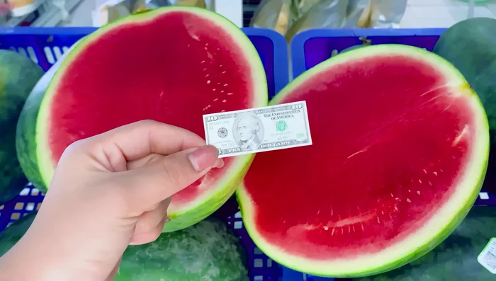 Make watermelon treats: Cut watermelon into small pieces and mash them. Add cheese and boil. Mix well. Put the mixture in a box and refrigerate.