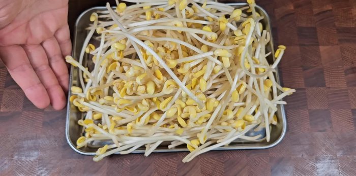 Set the rinsed bean sprouts aside.