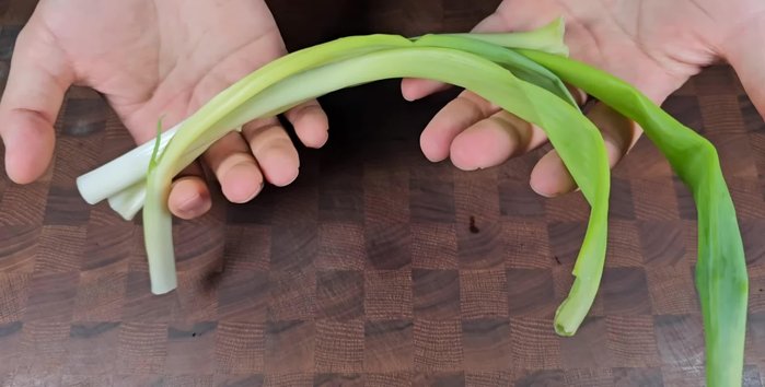 Cut wilting green onions into big pieces (size of your little finger) and set aside a big handful.