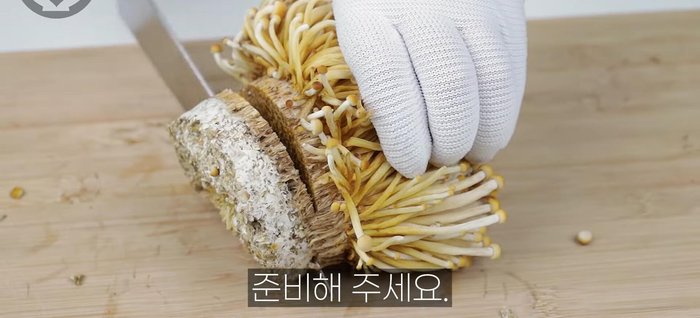 Cut pine mushrooms into thirds lengthwise. Prepare other mushrooms by cutting off the bottom. Rinse mushrooms lightly.