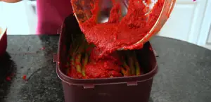 Addictive Green Onion Kimchi (Pa Kimchi) Recipe - Easy Korean Side Dish
