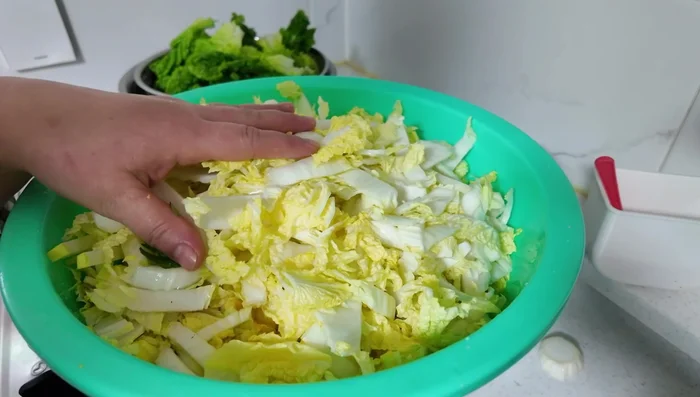 Prepare the vegetables: Finely chop the Chinese cabbage, radish, celery (or coriander), and green onions. Squeeze out excess water from the chopped vegetables.