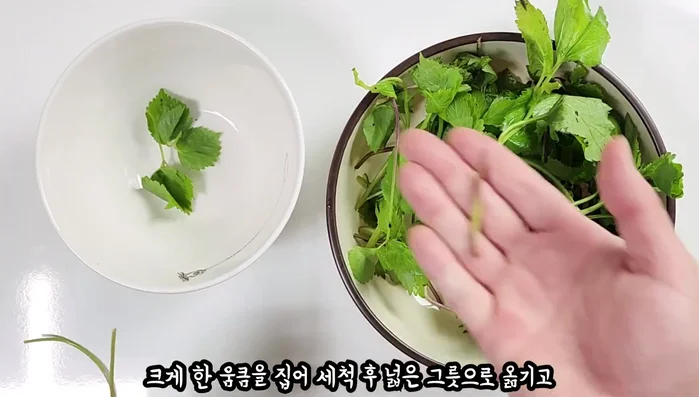 Prepare the bracken fern: Wash a large bunch of spinach, removing soft leaves and tough stems. Transfer to a large bowl.