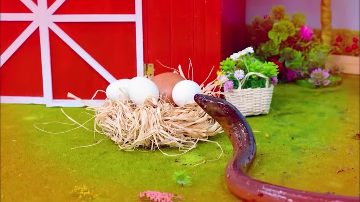 Prepare the eel. (It's a squiggly eel!)